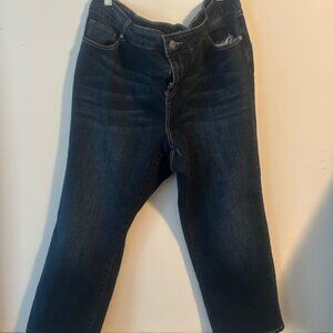 Roz & Ali 5 pocket distressed denim jeans, size 20
